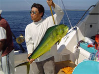 La Paz fishing